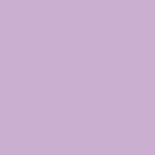 Windsor Purple